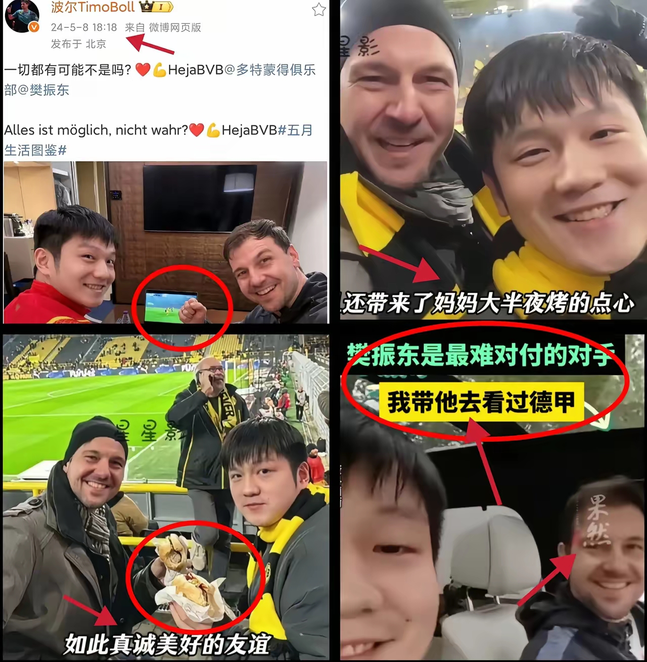 开云体育官方网站-波兰乒乓球队翻盘德国乒乓球队，波尔完成帽子戏法的简单介绍