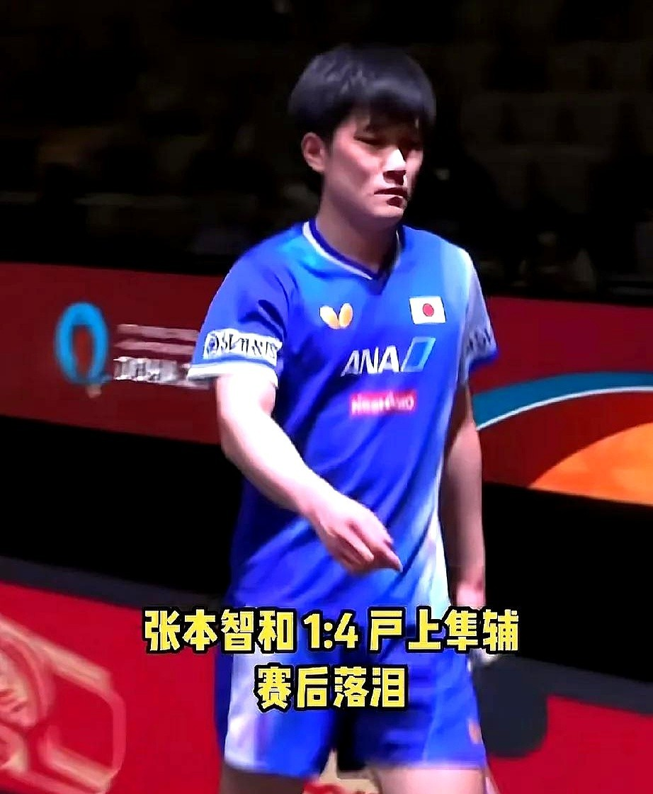 包含瑞典乒乓球队绝地反击法国乒乓球队，张本智和统治全场的词条