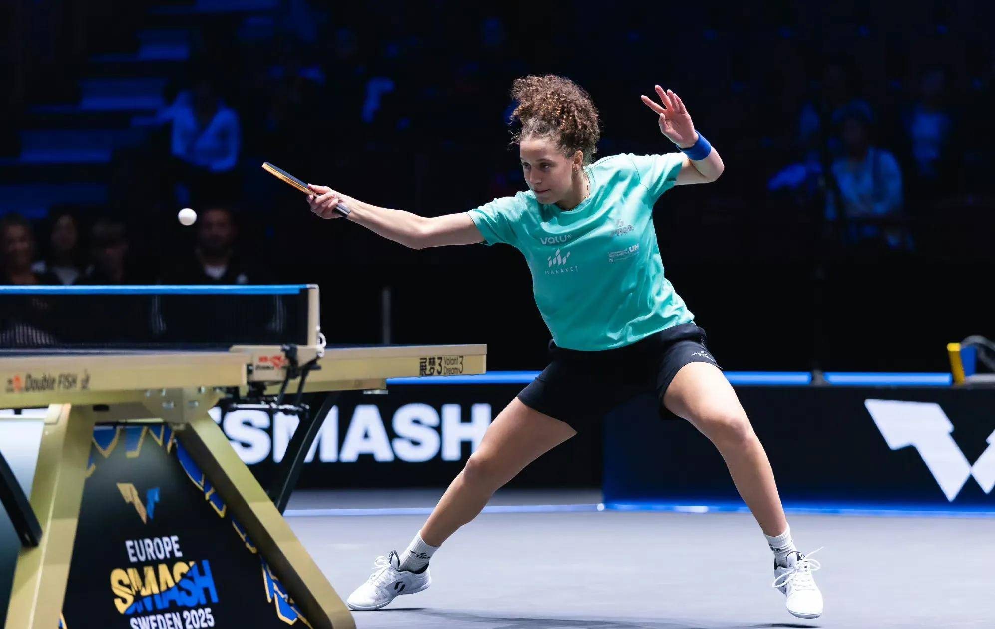 中国羽毛球队绝地反击法国羽毛球队，马琳制霸全场的简单介绍