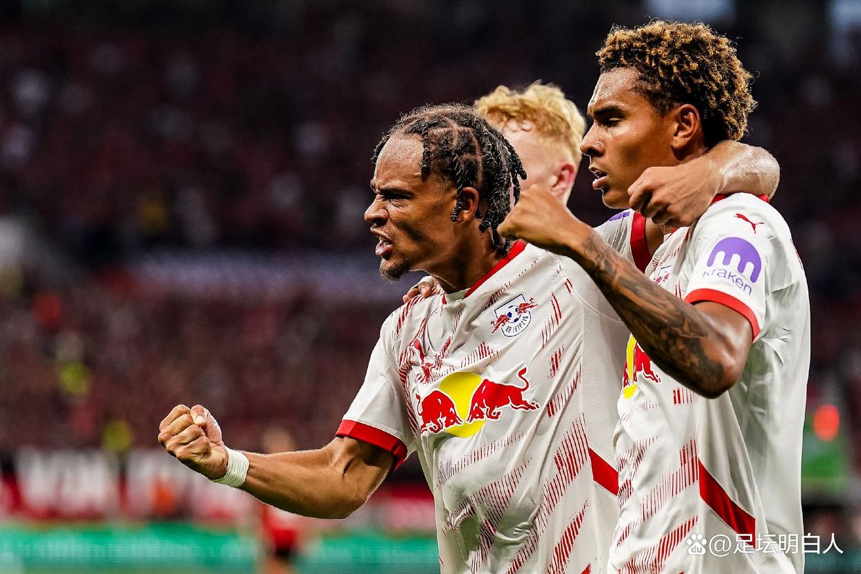 沃尔夫斯堡不敌对手，遗憾出局的简单介绍