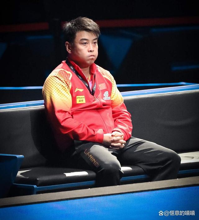 瑞典队力克波兰队，王皓关键制胜的简单介绍